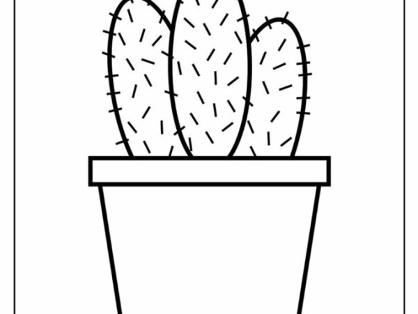 Кактус рисунок для срисовки