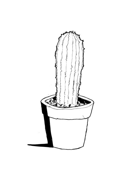 Рисунки растений для скетчбука в горшках