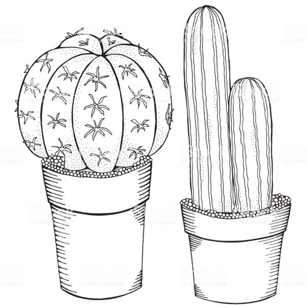 Рисунки для срисовки растения в горшках