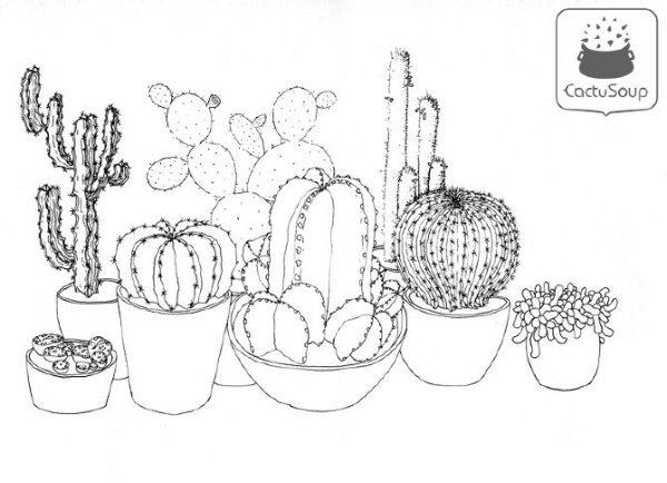Кактус рисунок для срисовки