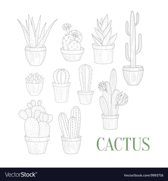 Раскраска Кактус в горшке
