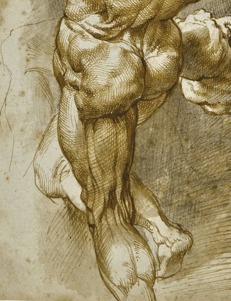 Рубенс Пауль Питер фигура рисунки