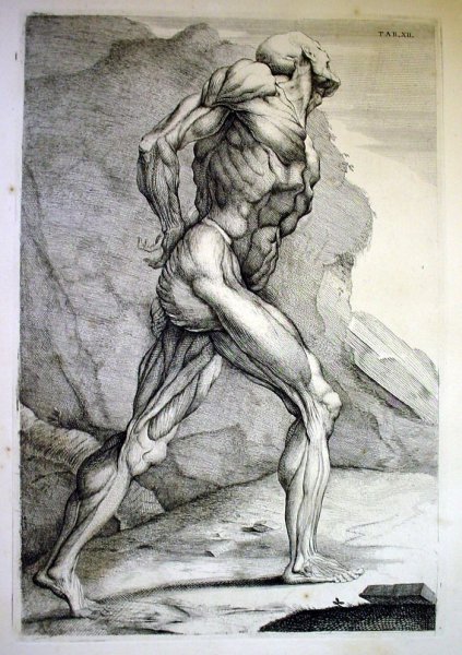 Художественные рисунки людей