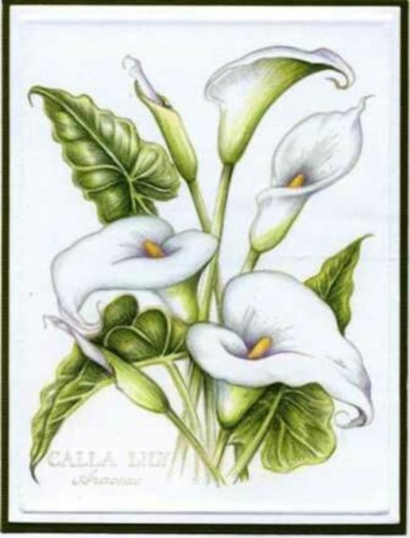 Букет калл рисунок