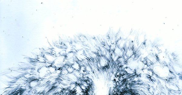 Пушистый снежок рисунок карандашом