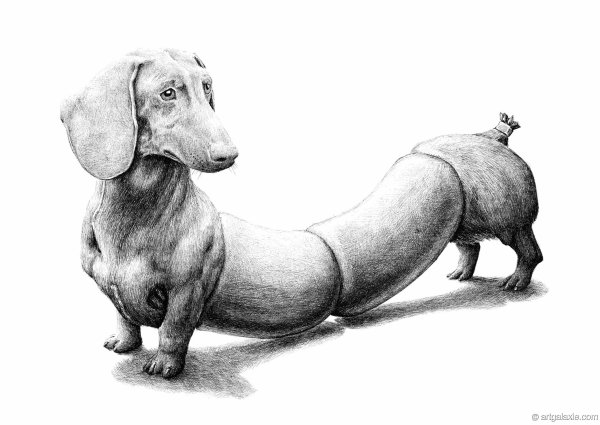 Редмер Хекстра