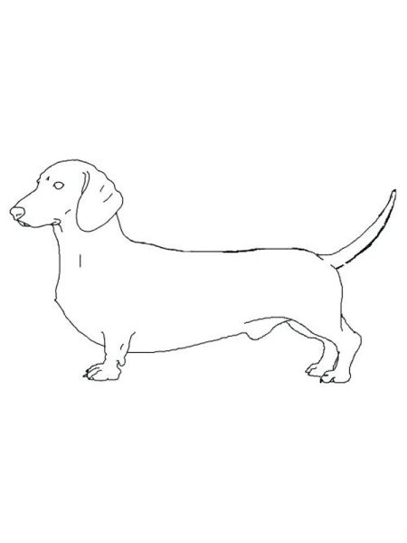 Такса эскиз