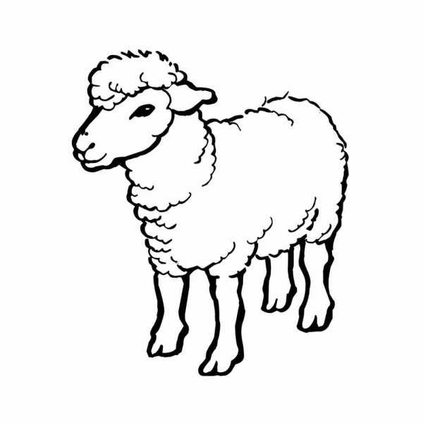 Барашек карандашом