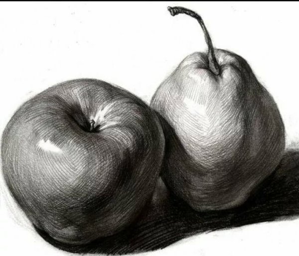 Натюрморт с фруктами карандашом