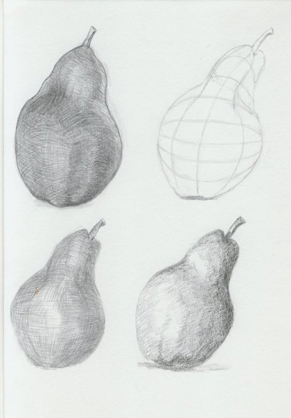 Зарисовка груши