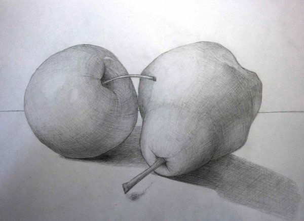 Фрукты карандашом