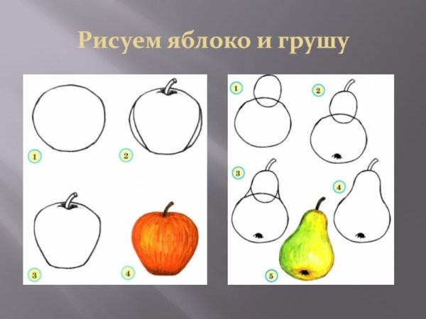 Груша рисунок