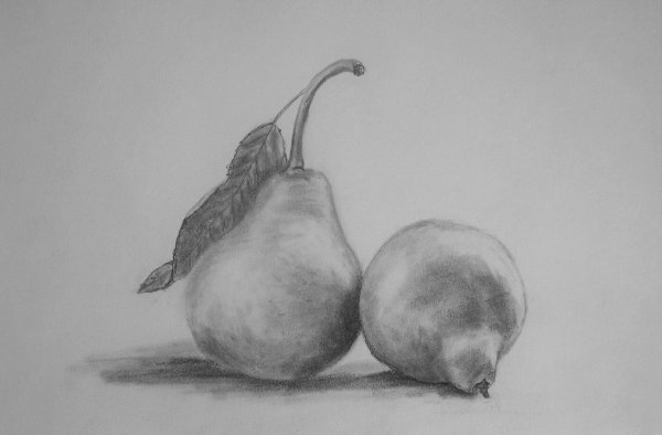 Поэтапное рисование груши для детей