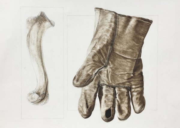 Перчатки зарисовка