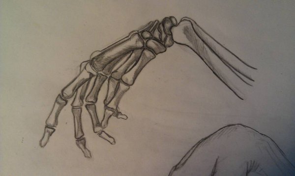 Рука скелета референс