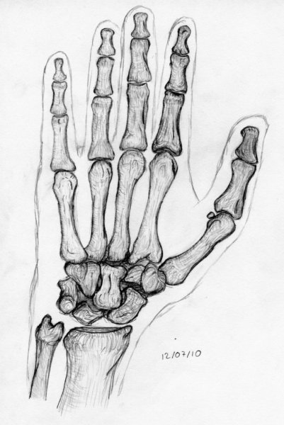 Скелет кисти карандашом