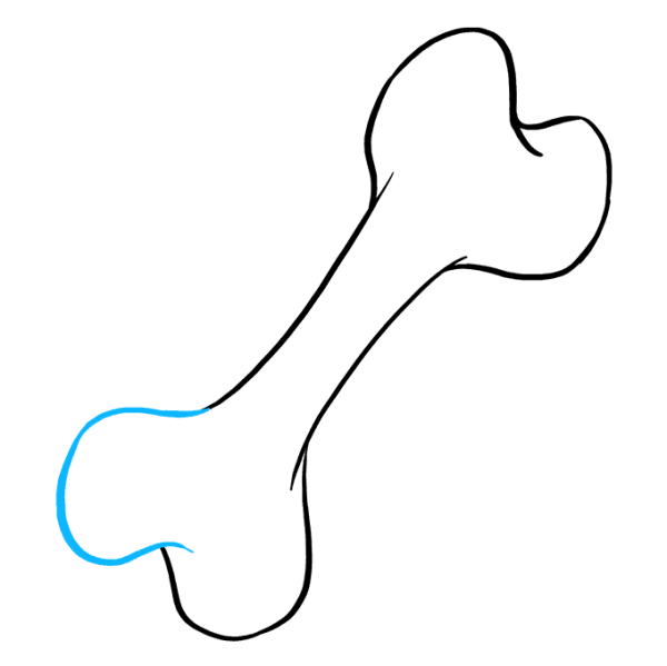 Кость рисунок