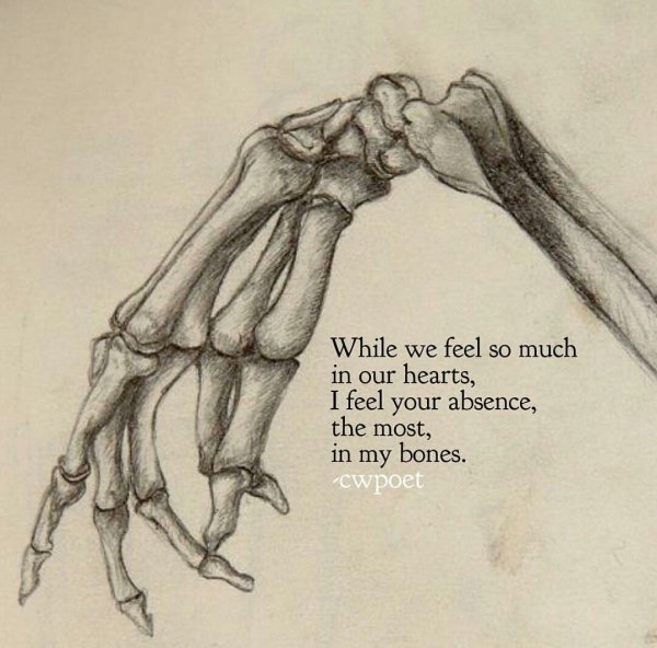 Скелет кисти карандашом