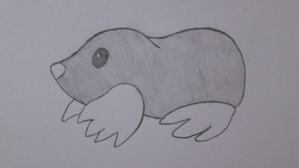 Крот звездонос иллюстрации