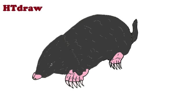 Бобер пошагово рисунок