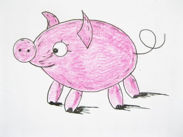 Свинья рисунок для детей карандашом
