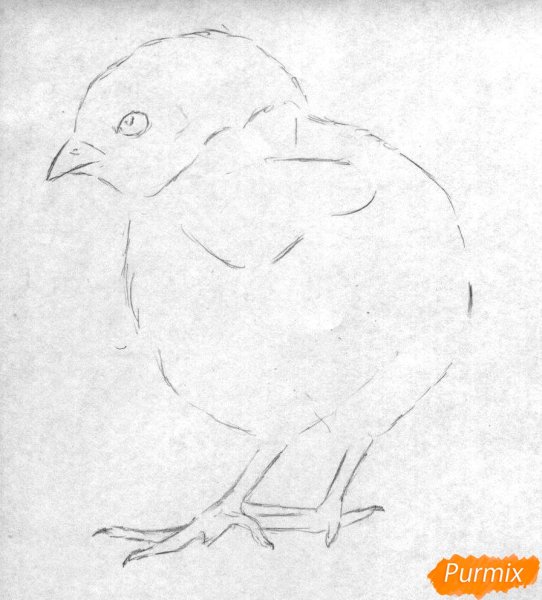 Простые схемы рисования для малышей