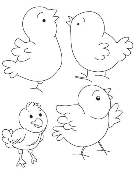 Цыпленок картинка для детей раскраска
