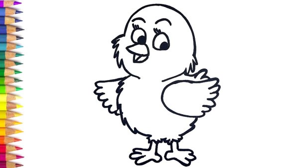 Цыплznfраскраска для детей