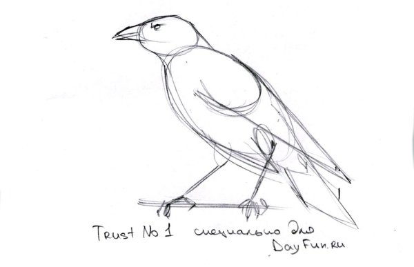 Трафарет Грача для аппликации