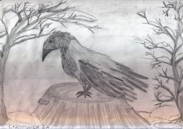 Ворона с сыром раскраска