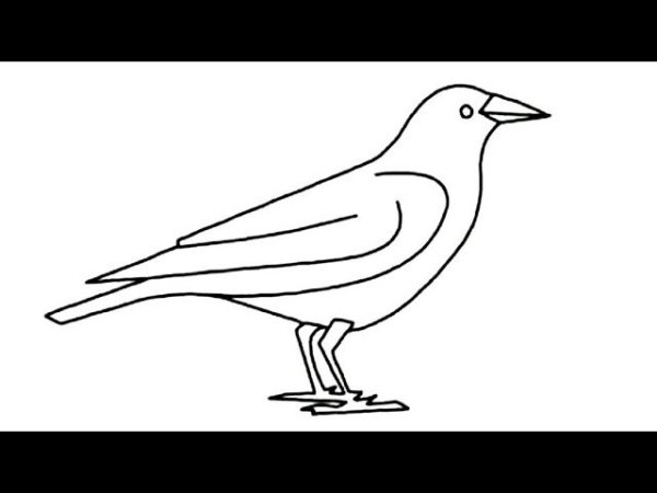 Ворон с ключом