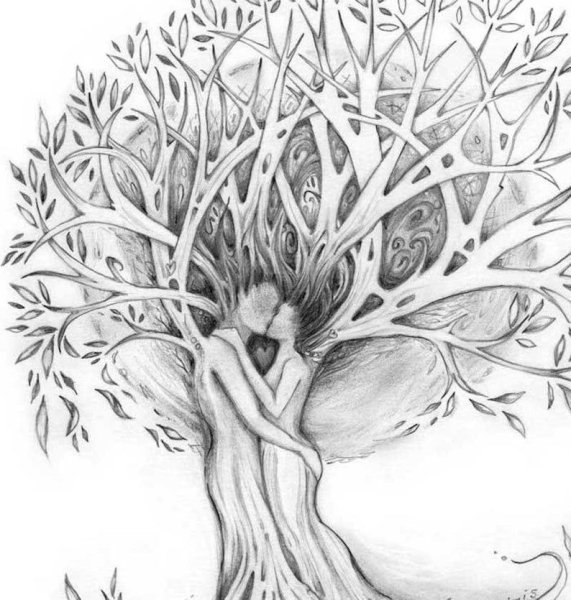 Нарисовать Древо семьи