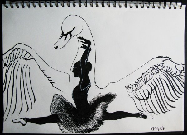 Черный лебедь карандашом