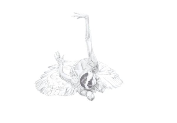 Лебединое озеро иллюстрации