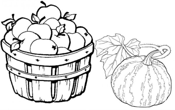 Корзина осенних овощей раскраска