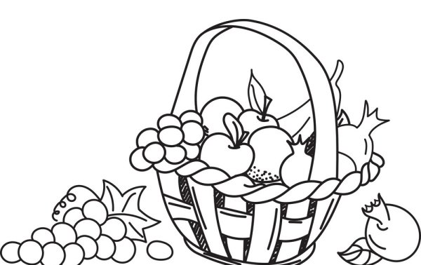 Корзина с овощами и фруктами контур
