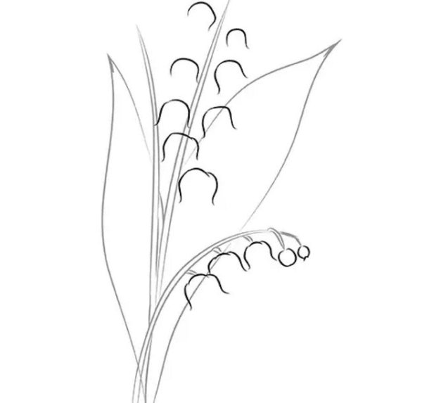 Ландыши карандашом