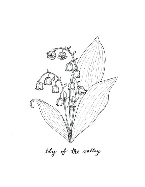 Ландыш Майский разукрашка