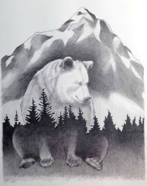 Горы лес медведь