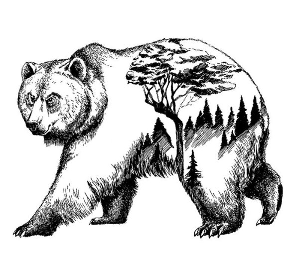Тату медведь на белом фоне