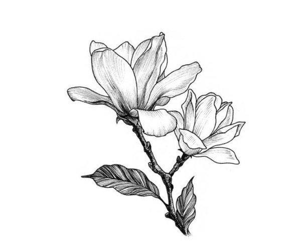 Магнолия тату эскизы