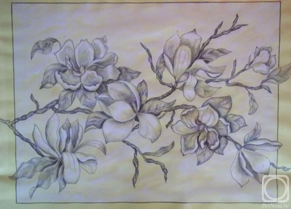 Цветы для барельефа карандашом