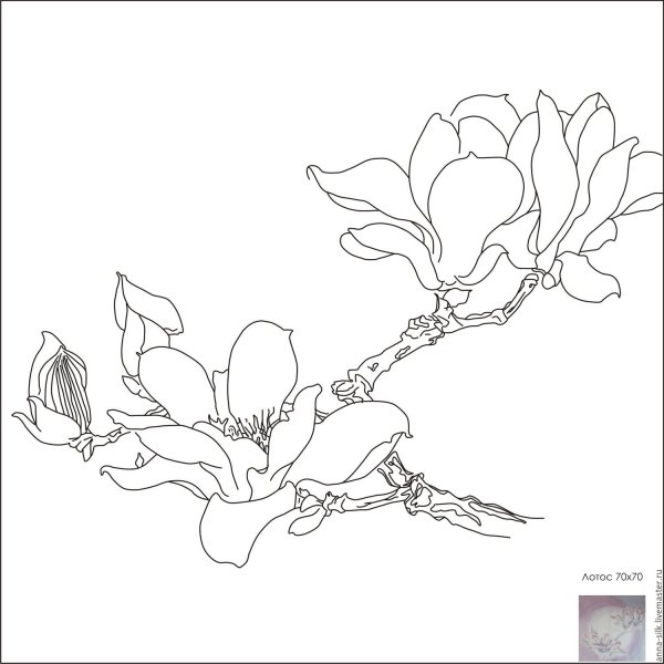 Ветка магнолии