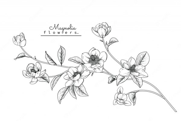 Магнолия трафарет