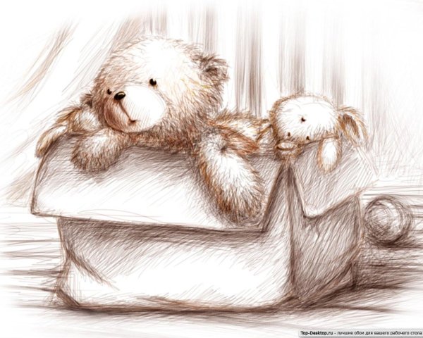 Мишка рисунок для срисовки