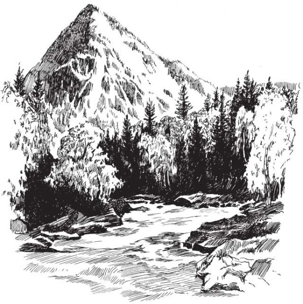 Горный пейзаж Графика