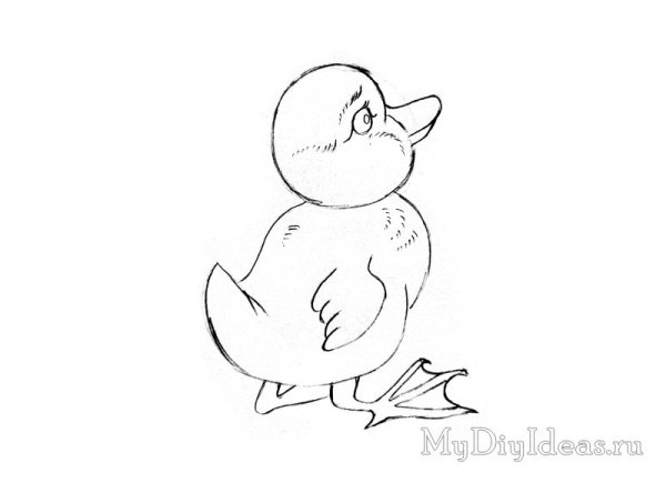 Утка схематичное изображение