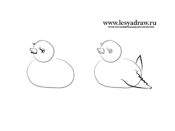 Утка Мандаринка рисовать