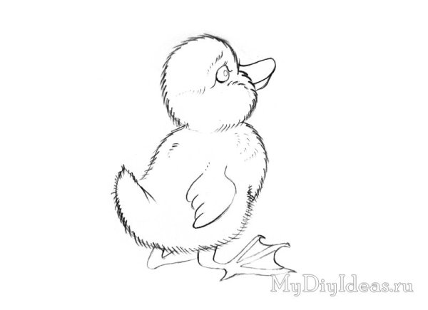 Уточка эскиз