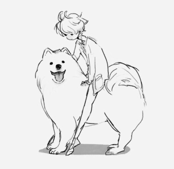 Самоед рисунок